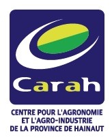 Logo CARAH